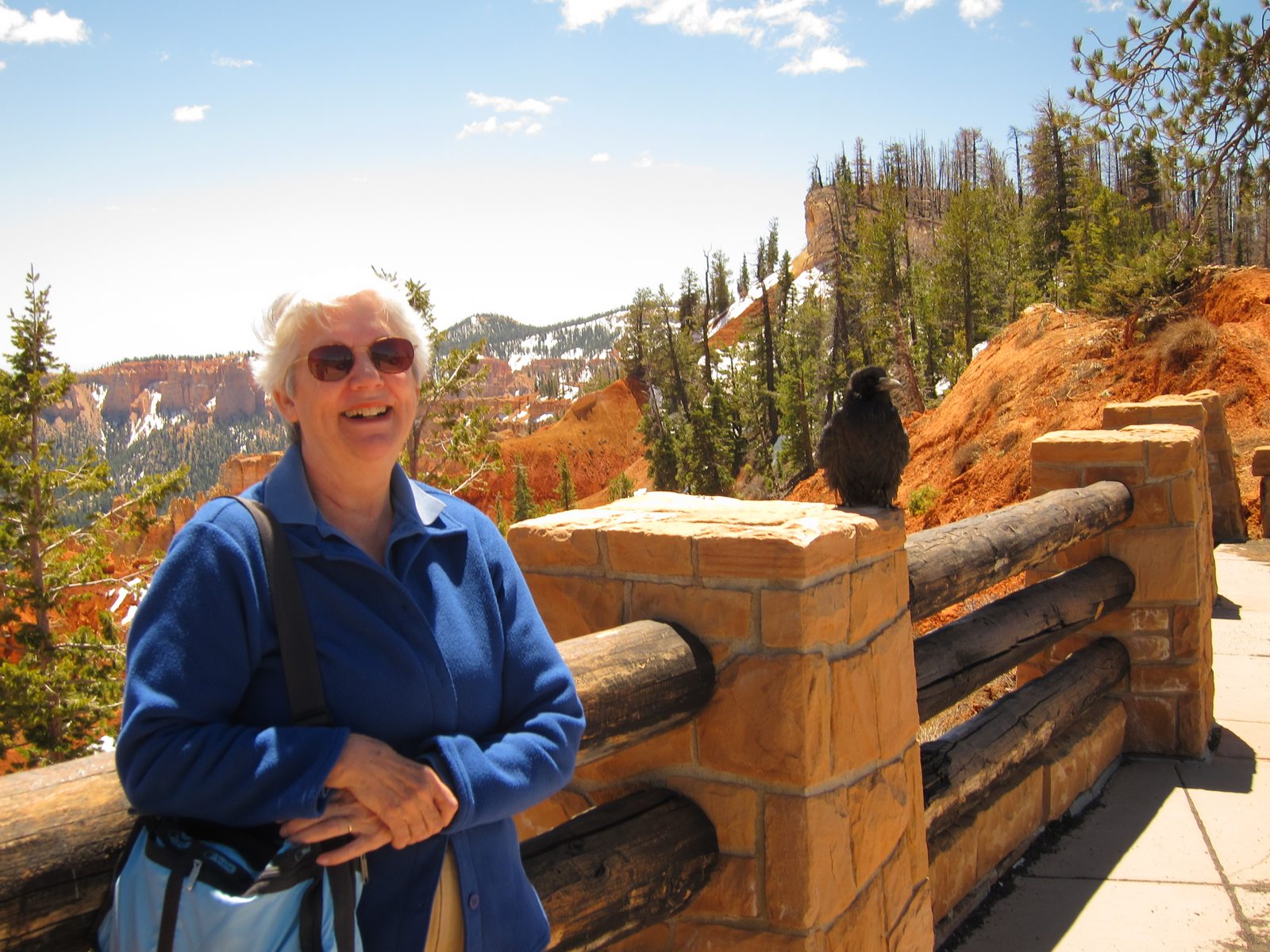 Annie soaking up the southwestern sunshine with a disinterested friend.